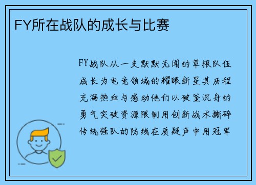 FY所在战队的成长与比赛