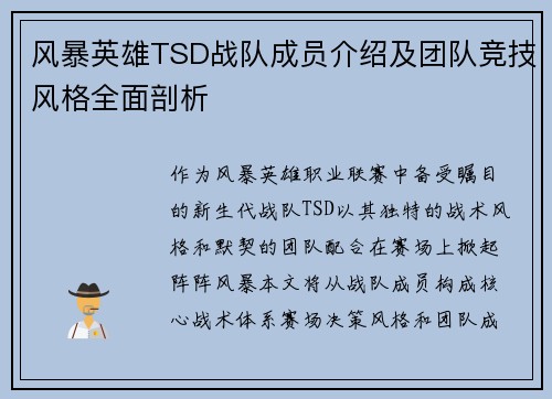 风暴英雄TSD战队成员介绍及团队竞技风格全面剖析